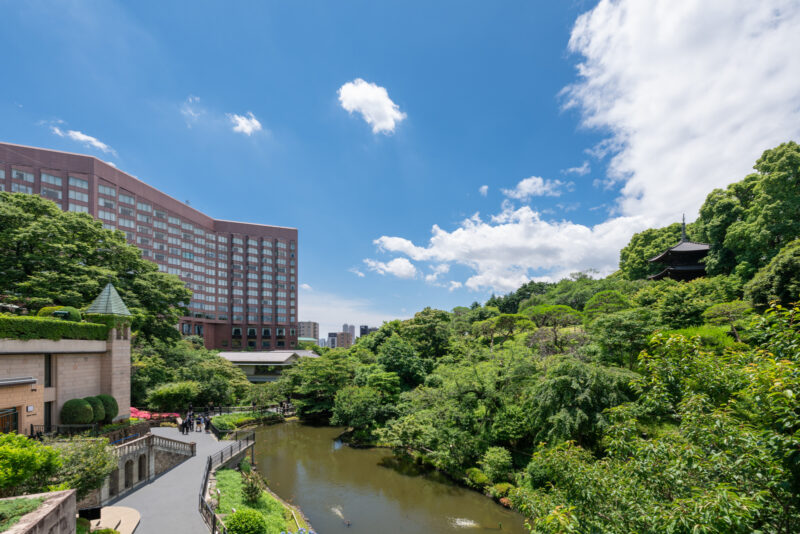 ホテル椿山荘東京 羽枕 35-003.jpg?v=1702964787