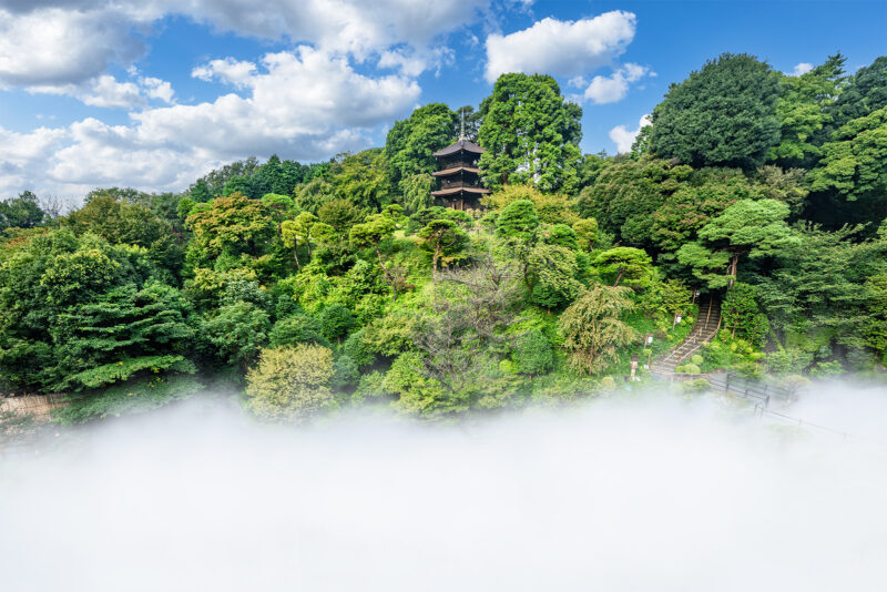 東京雲海