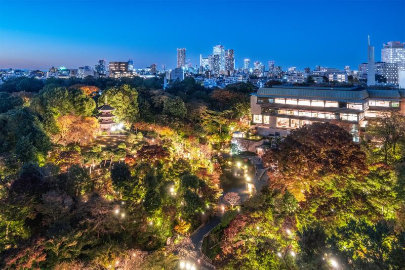 庭園ライトアップ