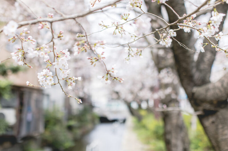 高瀬川