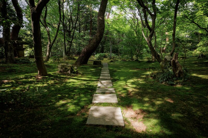 山庭