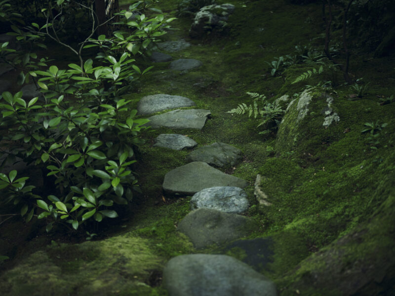 山庭
