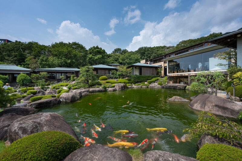 庭園に息づく生命