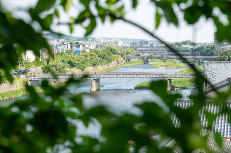 スカイフォレストガーデンからの眺め