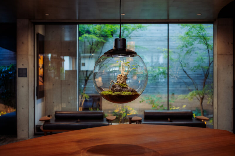 静かに浮かぶ、光と緑のオブジェ