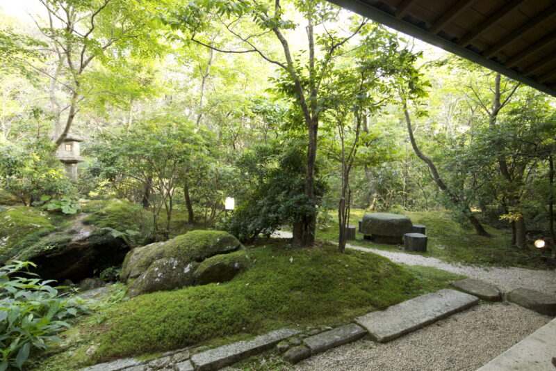 光と影が織りなす庭園美